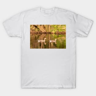 Greylag geese, Isle of Mull T-Shirt